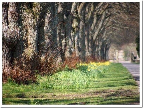 7 May 8 07-05-2013 09-52-56 4032x3024