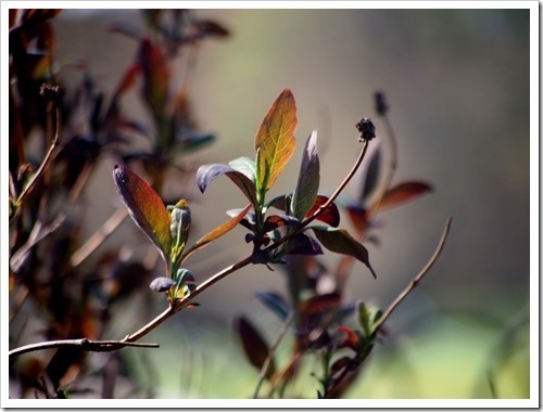 7 May 9 07-05-2013 09-59-17 4032x3024