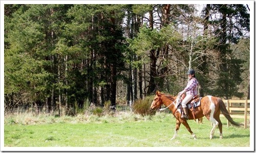 7 May 10 07-05-2013 14-10-52 4020x2345