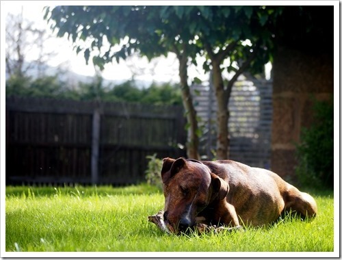 7 May 13 07-05-2013 15-14-52 4032x3024