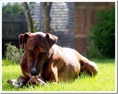 7 May 14 07-05-2013 15-14-56 2563x2020