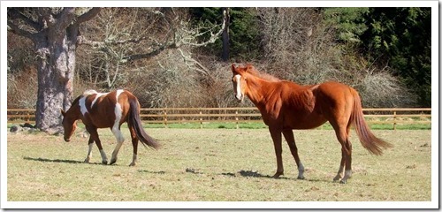 7 May 12 05-05-2013 09-33-14 3965x1818