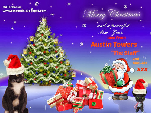 Austin's CATachresis blog