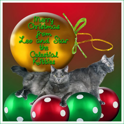 Celestial Kitties
