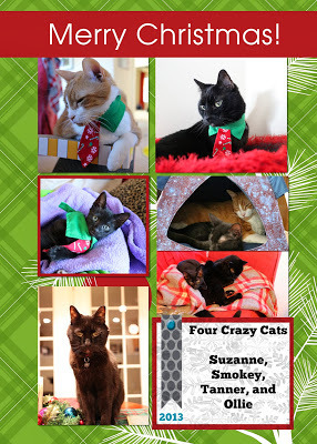 Four Crazy Cats