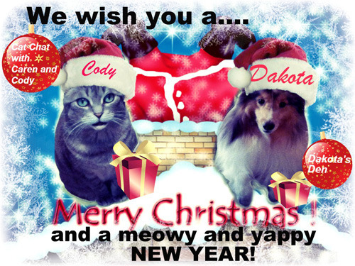 Cat Chat with Caren and Cody
