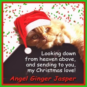 Remembering Ginger Jasper
