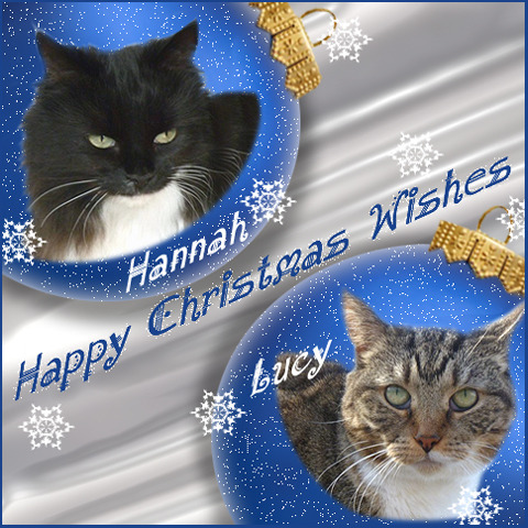 Hannah and Lucy's blog