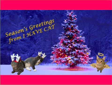 I Have Cat blog