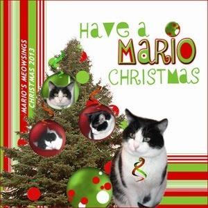 Mario's Meowsings