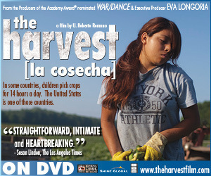 Buy The DVD Now!