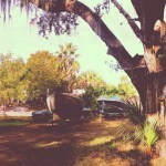 In a neighbors yard, these three huddle together-- they rot and rust together.