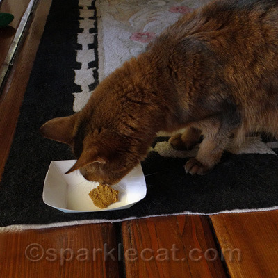 I am not a pig like certain OTHER cats here...cough, cough...BingaANDBoodie!