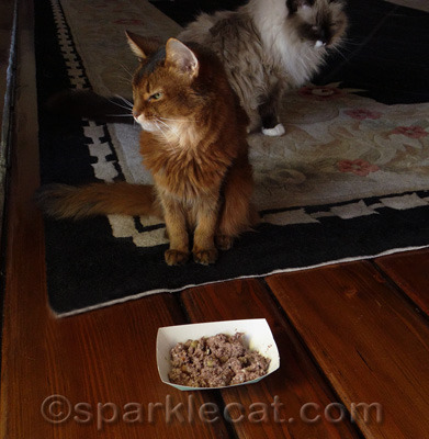 You expect me to eat THIS?