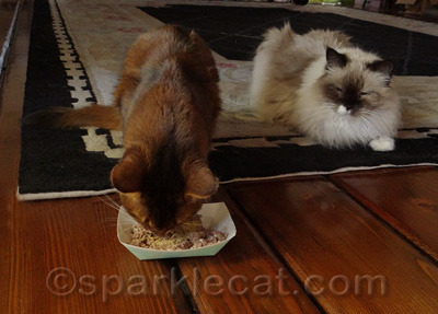 Are you sure this is the same food?