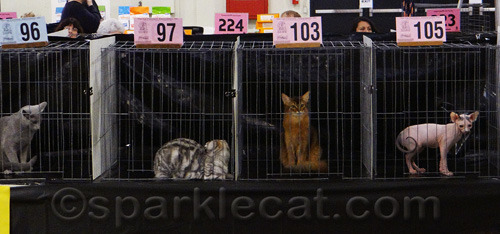 I do not think there is a question about who stands out here!