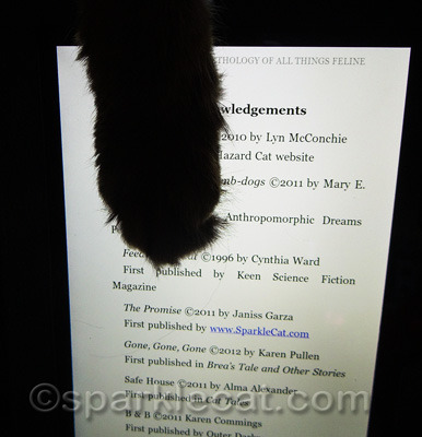 Look, there is my blog!