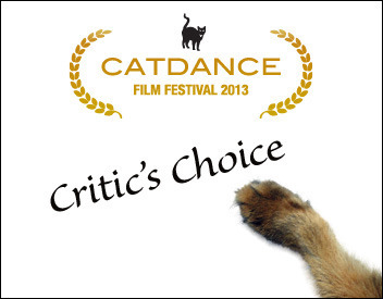 The official Sparkle the Designer Cat Critic's Choice graphic