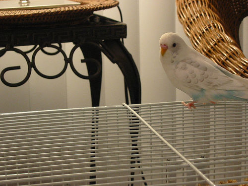 Jeri 10/19/03 - 4/4/12