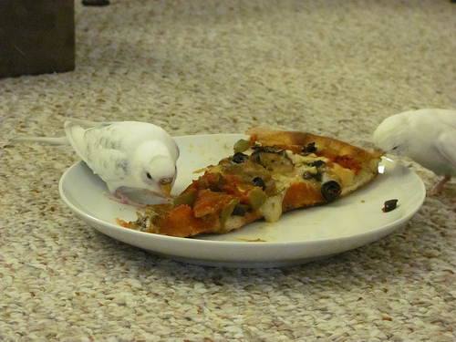 Leftovers