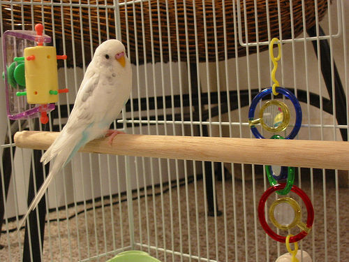 Jeri