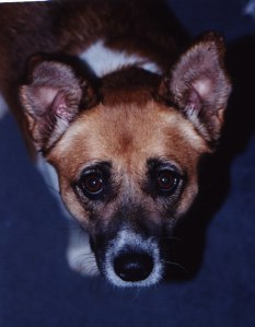 MIA UP CLOSE