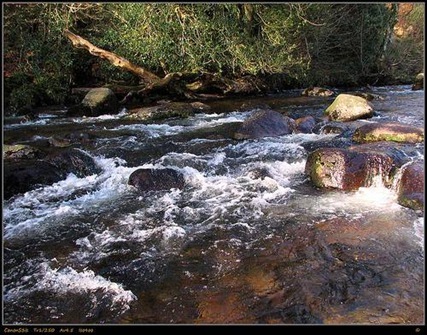 clip_image002