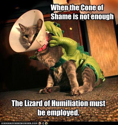 Cone of Shame