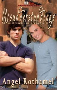 Misunderstandings by Angel Rothamel
