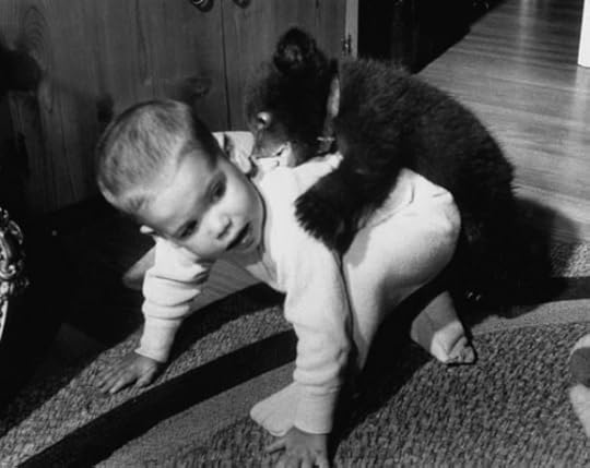 Bear Baby