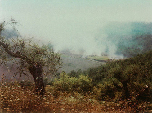 tarkovskio polaroidas