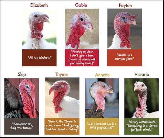 9opEfb3k6YTqSucgg6q1XmAh.jpeg:Amazon:photo