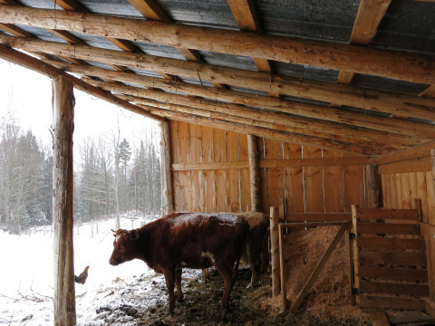 A fine example of chainsaw hewn post and post construction 