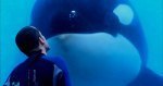 blackfishbig