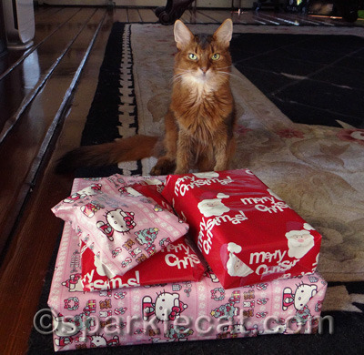 It's not often I get to have presents all to myself!