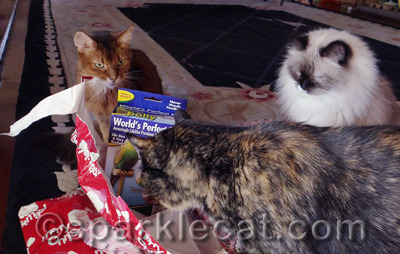 They can hear the rattle of wrapping paper from the other end of the house!