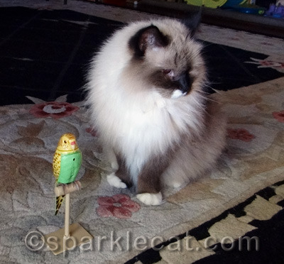 If it is not edible, she is not interested