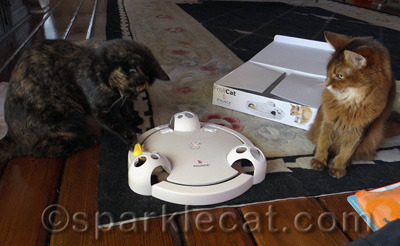 Not only does she agree, she is a toy hog