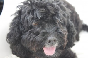 Ruby