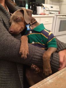 Bedtime for Ralphie