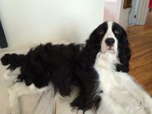 Molly