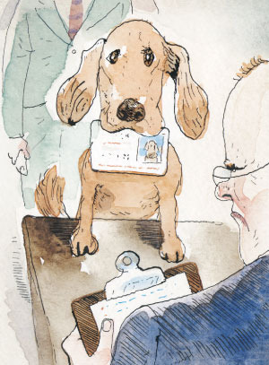 dog voting