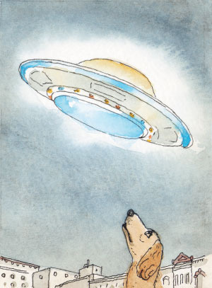Dog and UFO