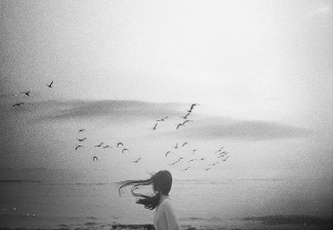quoetbirds