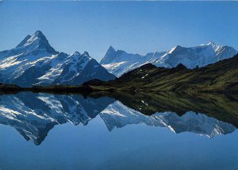 800px-Bachalpsee_Schreckhorn