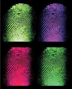 fingerprints_color