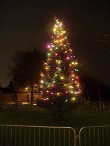 The Beeston Christmas Tree, photo by mattbuck via Wikimedia Commons