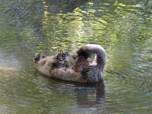 8149709136_ccd048480f_z