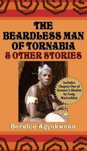 THE BEARDLESS MAN BOOK - BOOK COVER