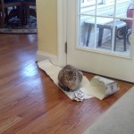 1 Worst Christmas Gift Ever